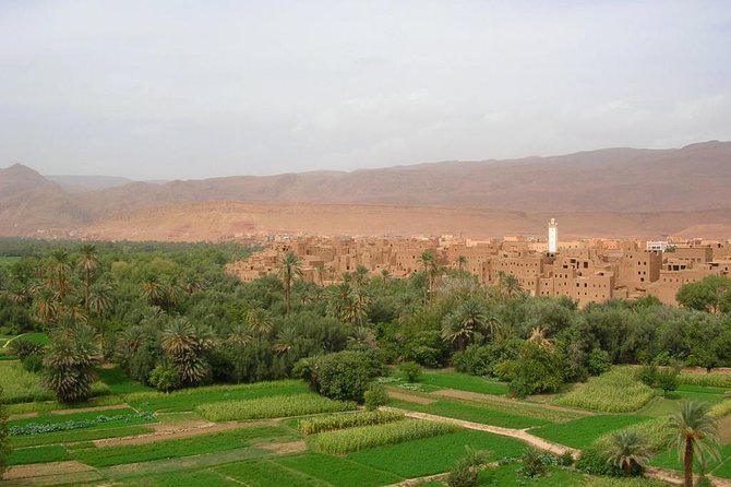 Sahara 3days/2nights mini-circuit - What kind of traveler should choose this tour
