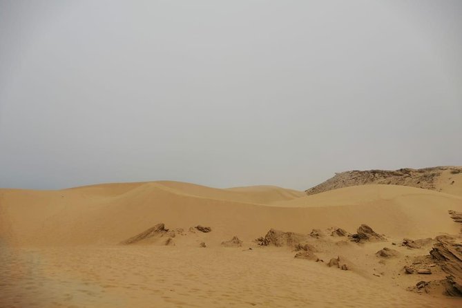Sandboarding guided experience from Agadir - Sandboarding in Agadir, the way it should feel: short, guided, and scenic