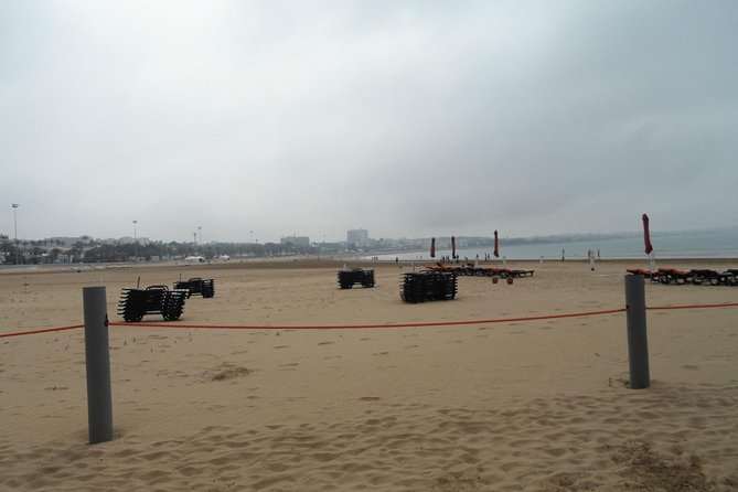 Seafront Promenade - Price and logistics: why $11.63 can be a good deal, and when it might not be