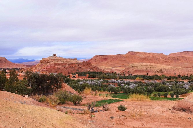 Shared Group Desert Tour from Marrakech for 3 days - Day 3: Sunrise Desert Views, Camel Breakfast, and Ouarzazate Movie-Set Stops