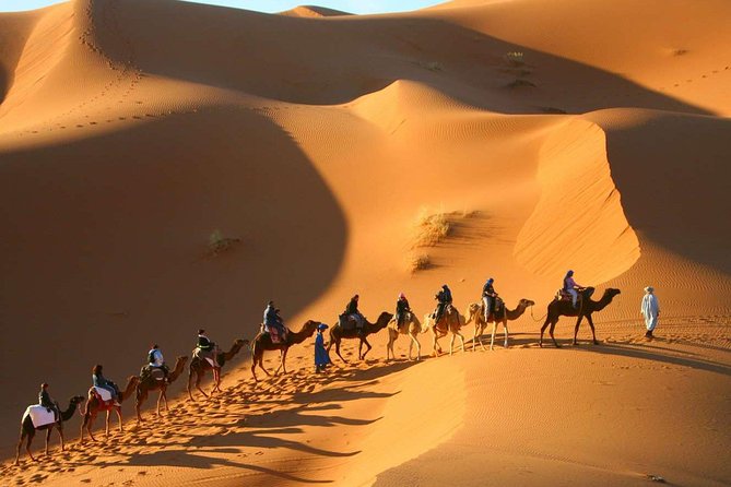 Shared Group Desert Tour from Marrakech for 3 days - How the Shared Group Pace Feels in Real Life