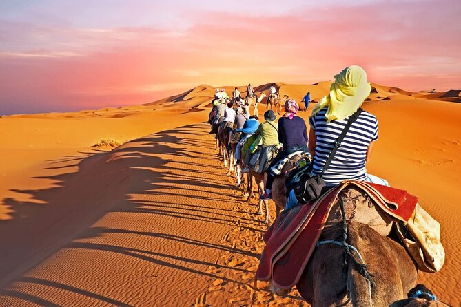 Shared group Fez to Fez Sahara tour 2Days/1Night - Price and Value: Is $127.95 a Fair Deal?