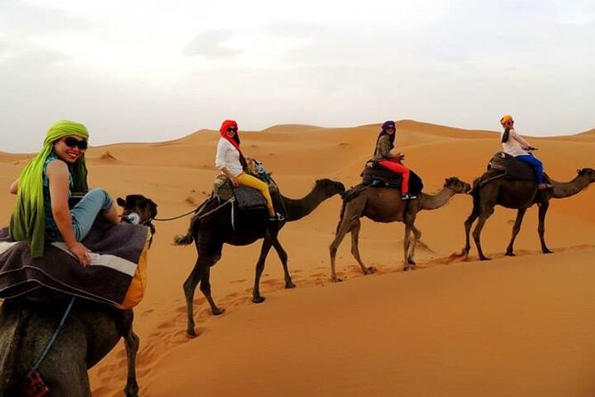 Shared group Fez to Fez Sahara tour 2Days/1Night - Ziz Valley: Why This Stop Feels Like a Turning Point
