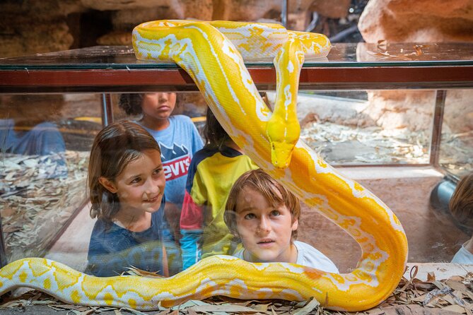 Skip the Line Ticket to Crocoparc with Optional Transfert - Kids Extras: Henna, Playgrounds, and Family-Friendly Breaks