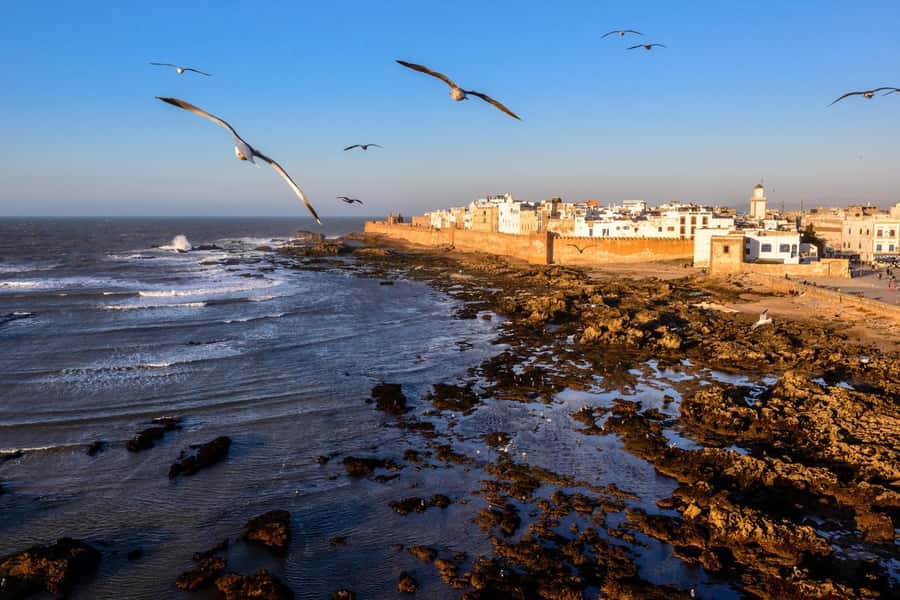 Small-Group Day Trip from Marrakech to Essaouira Mogador - Two short drive legs, then the coast moment