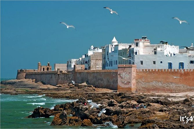 Small-group Day Trip to Essaouira from Marrakech - Women’s argan oil cooperative: how the oil gets made