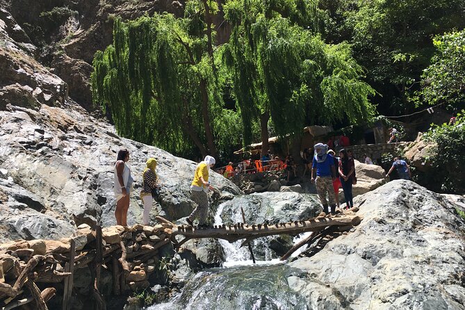 Small Group Day Trip to Ourika Valley & Atlas Mountains - Who this tour suits best