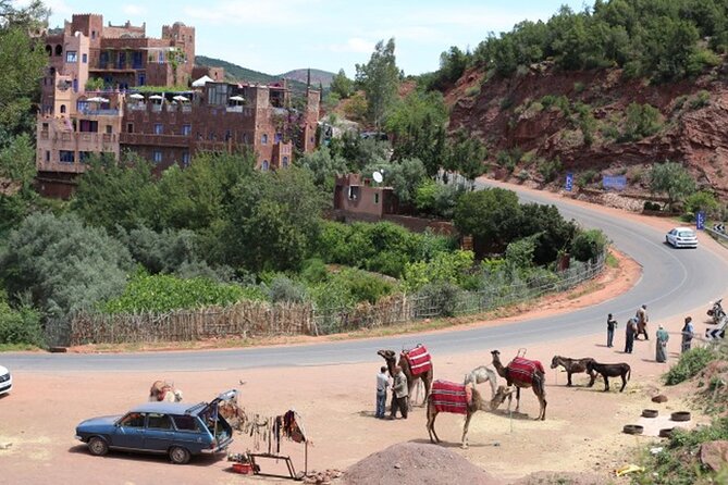 Small Group Day Trip to Ourika Valley & Atlas Mountains - The booking decision: should you book this day trip?