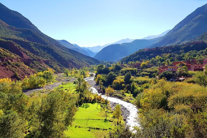 Small Group Day Trip to Ourika Valley & Atlas Mountains - Comfort and logistics that keep the day smooth