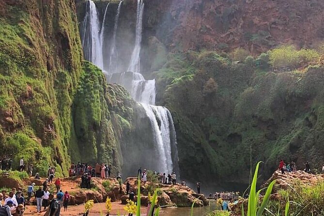 Small group Ouzoud Waterfall Guided Tour Boat Ride from Marrakech - Quick highlights
