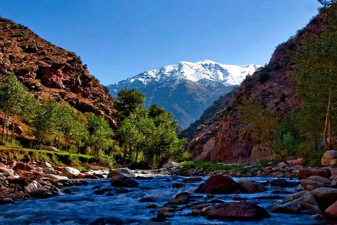 Small group To Atlas Mountains and Ourika valley From Marrakech - Atlas Mountains views: terraced farms and Berber towns you can spot from the van