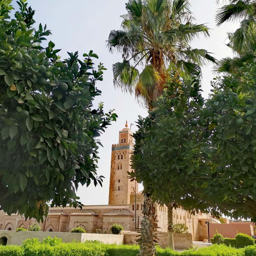Sparkling Marrakech through the eyes of your local Guide - Jemaa el-Fnaa tea, then Koutoubia Mosque and Bab Agnaou