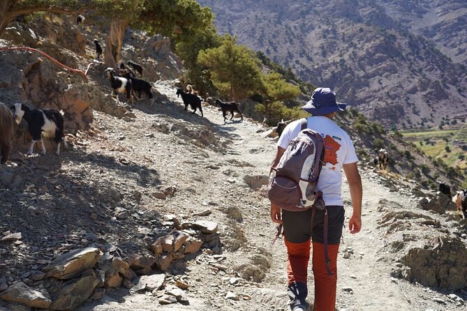 Summiting and Hiking the Atlas Mountains Day Trek from Marrakech - How Much Effort Is This, Really?