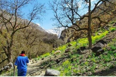 Summiting The Atlas Mountains, Day Hike & Trek From Marrakech