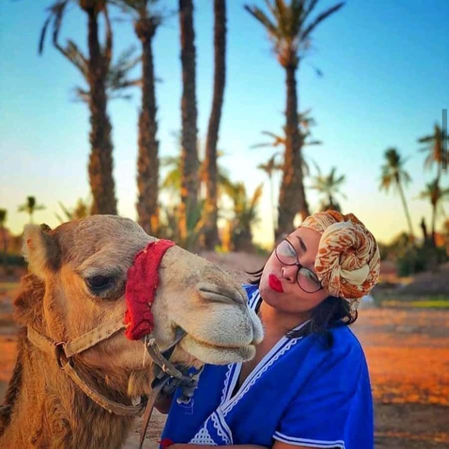 Sun set camel ride in palmerai of Marrakesh - Sunset in the Palmeraie: Why this camel ride feels like Marrakech at its calmest