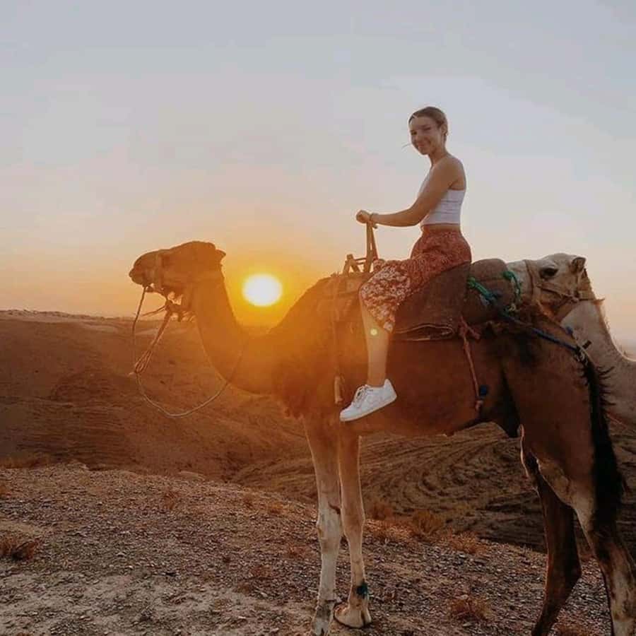 Sun set camel ride in palmerai of Marrakesh - Nomadic dress and mint tea: small inclusions that actually change the vibe