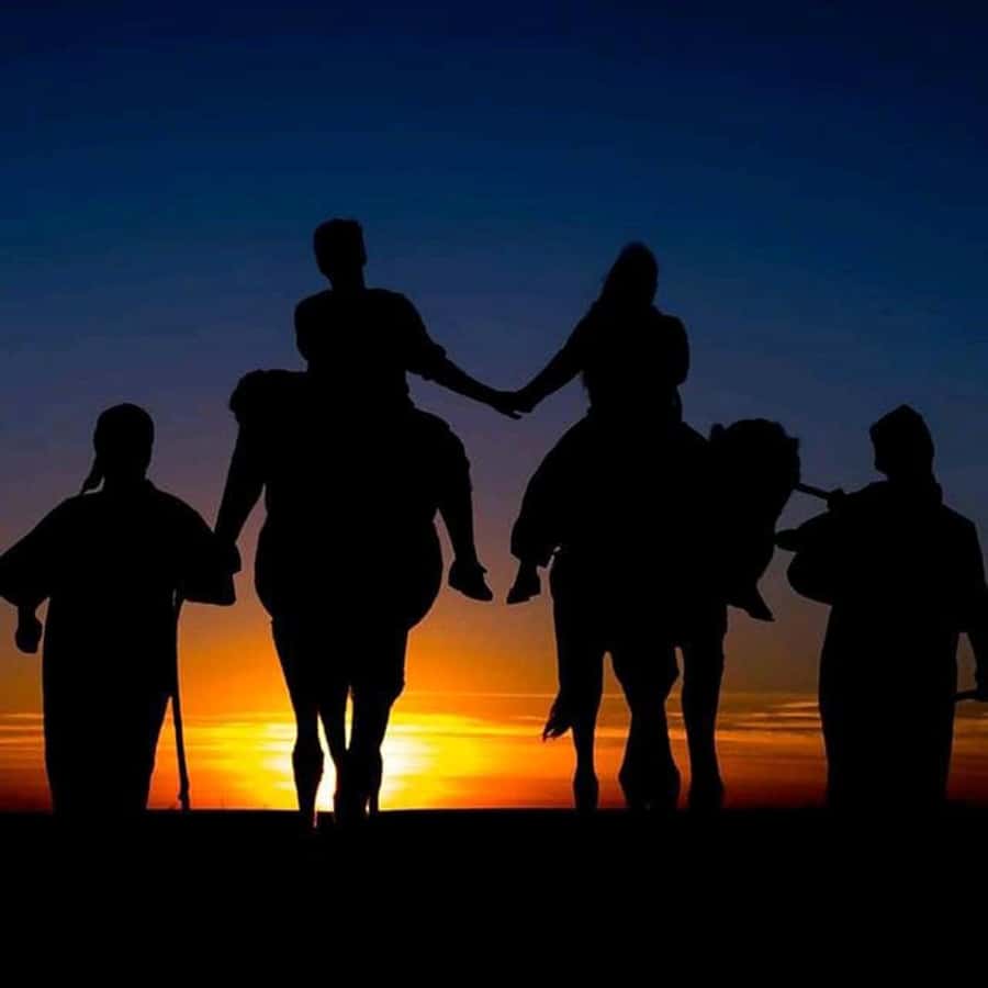 Sun set camel ride in palmerai of Marrakesh - The 1-hour camel ride: what it feels like, and how to make it comfortable