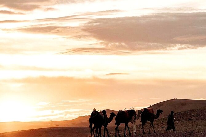 Sunset & Camel Ride & Dinner in Desert Agafay Marrakech - Price and value: what you are paying for at $63.97