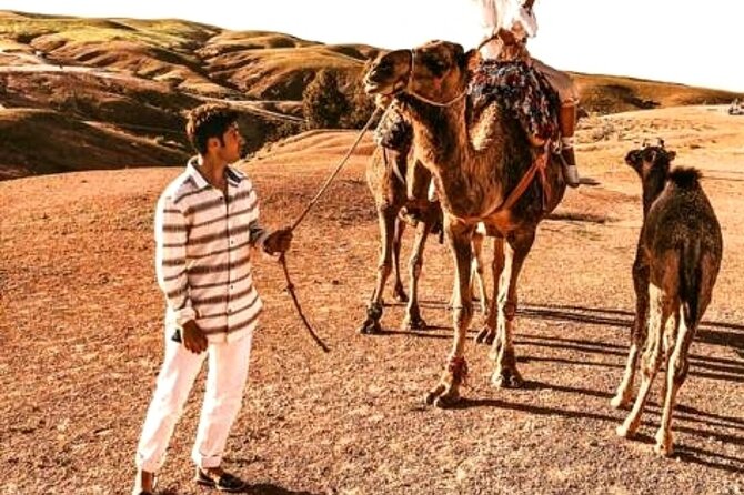 Sunset & Camel Ride & Dinner in Desert Agafay Marrakech - Pickup from your Marrakech hotel, plus the tea and optional dam stop