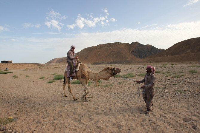 Sunset Camel Ride in Agadir or Taghazout With Transfers - Animal Welfare Concerns You Should Weigh Before You Ride