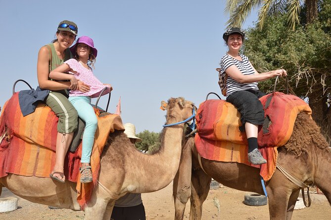 Sunset Camel Ride in Agadir or Taghazout With Transfers - Camel Sway Between Eucalyptus and the Souss River Views
