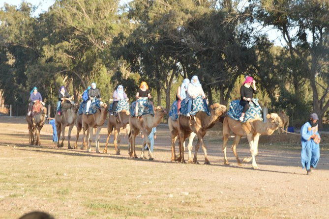 Sunset camel ride in Agadir with transport, tea and cakes. - From Hotel Pickup to the Ranch in About 10 Minutes