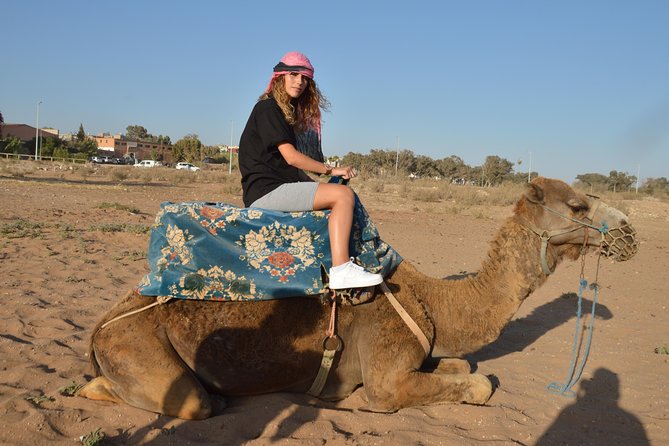 Sunset camel ride in Agadir with transport, tea and cakes. - Aghroud Bensergao and the Eucalyptus Forest Route