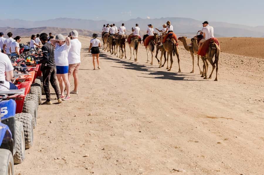 Sunset Camel Ride in Agafay Desert with dinner and pool - Key Highlights You Will Feel Immediately