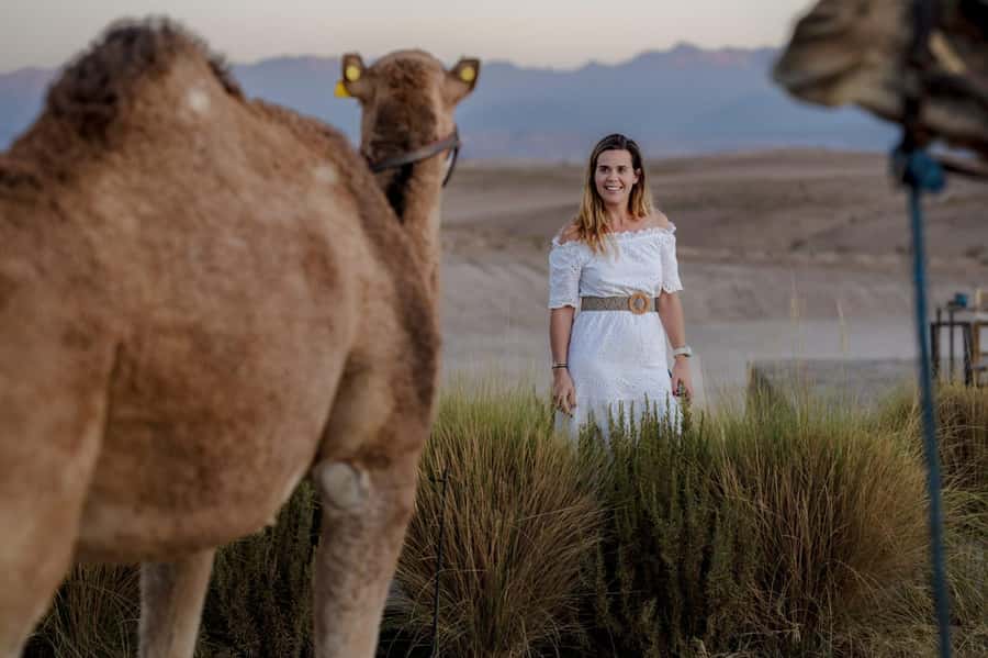 Sunset Camel Ride in Agafay Desert with dinner and pool - Desert Pool Time: Swimming in the Open Air Under Changing Light
