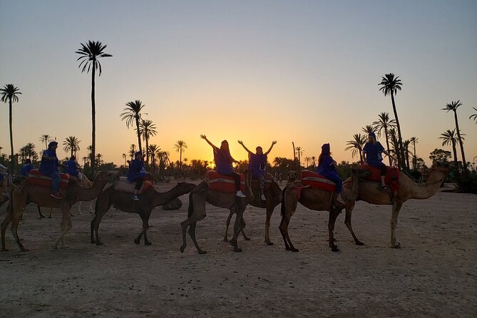 Sunset Camel Ride in the Palm Grove of Marrakech - Mint Tea in a Berber Home, Not Just a Photo Stop