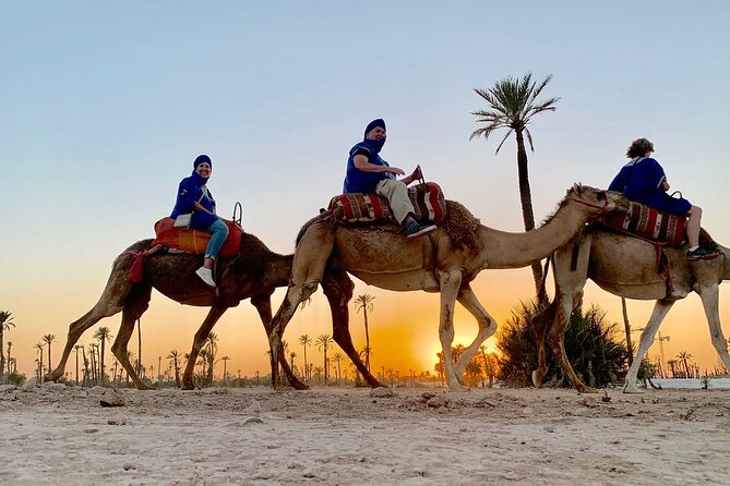 Sunset Camel Ride in the Palm Grove of Marrakech - Palmeraie Camel Basics, Plus the Touareg Scarf Trick