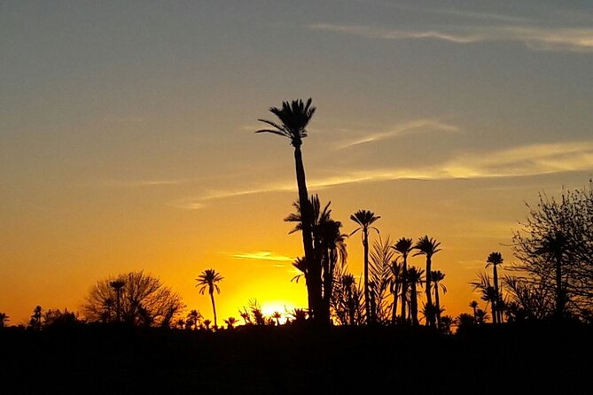 Sunset Camel Ride in the Palm Grove of Marrakech - Value Check: Is This $45.19 a Smart Use of Your Evening?