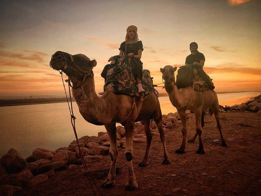 Sunset Camel Riding Including BBQ Dinner & Hotel Transfers - Riding at Golden Hour Along the Souss River and Flamingo Areas