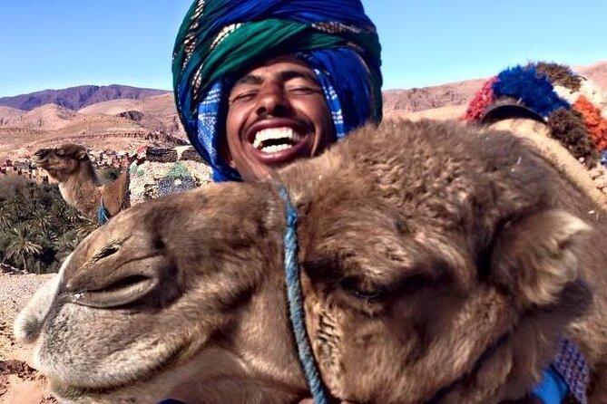 Tangier 3 Hours Sightseeing & Camel ride - A Fast Tangier Hit: 2.5 Hours, Four Stops, Big Coastal Payoff