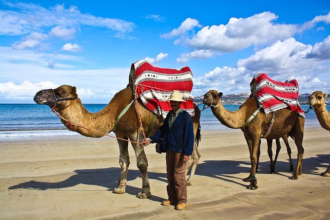 Tangier 3 Hours Sightseeing & Camel ride - Cap Spartel: Where You Actually Get the Strait of Gibraltar Views