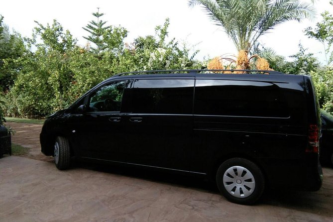 Tangier 3 Hours Sightseeing & Camel ride - Transport and the Bilingual Driver: Comfort, Wi-Fi, and the Real Expectations