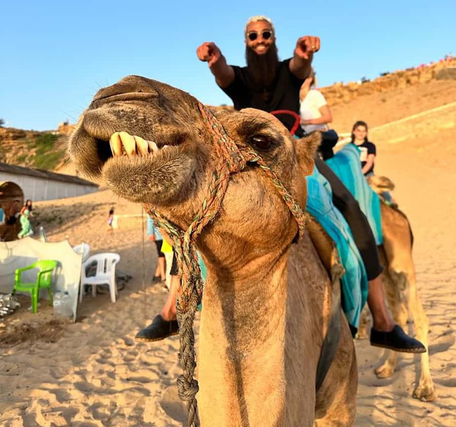 Tangier: Achakar Beach Sunset Camel Ride & Moroccan Dinner - Who This Fits Best, and Who Might Want Another Plan