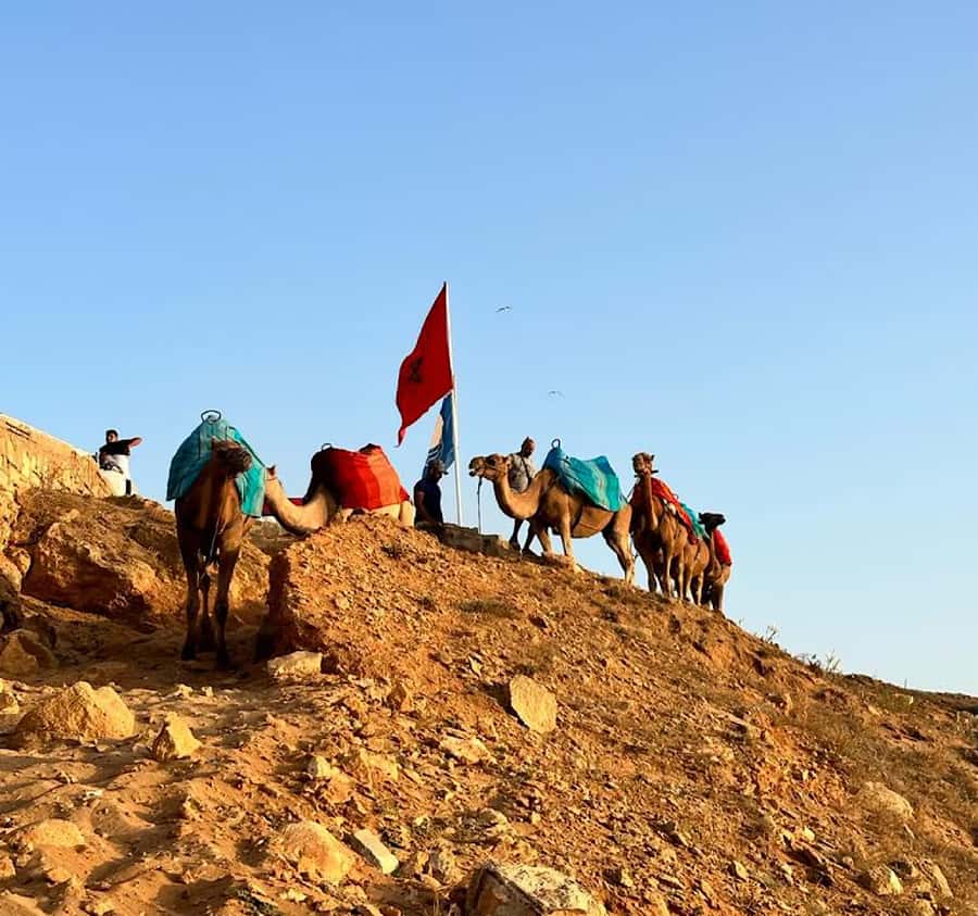 Tangier: Achakar Beach Sunset Camel Ride & Moroccan Dinner - Cap Spartel and the Atlantic-Mediterranean Signpost: Two Quick Stops That Feel Iconic