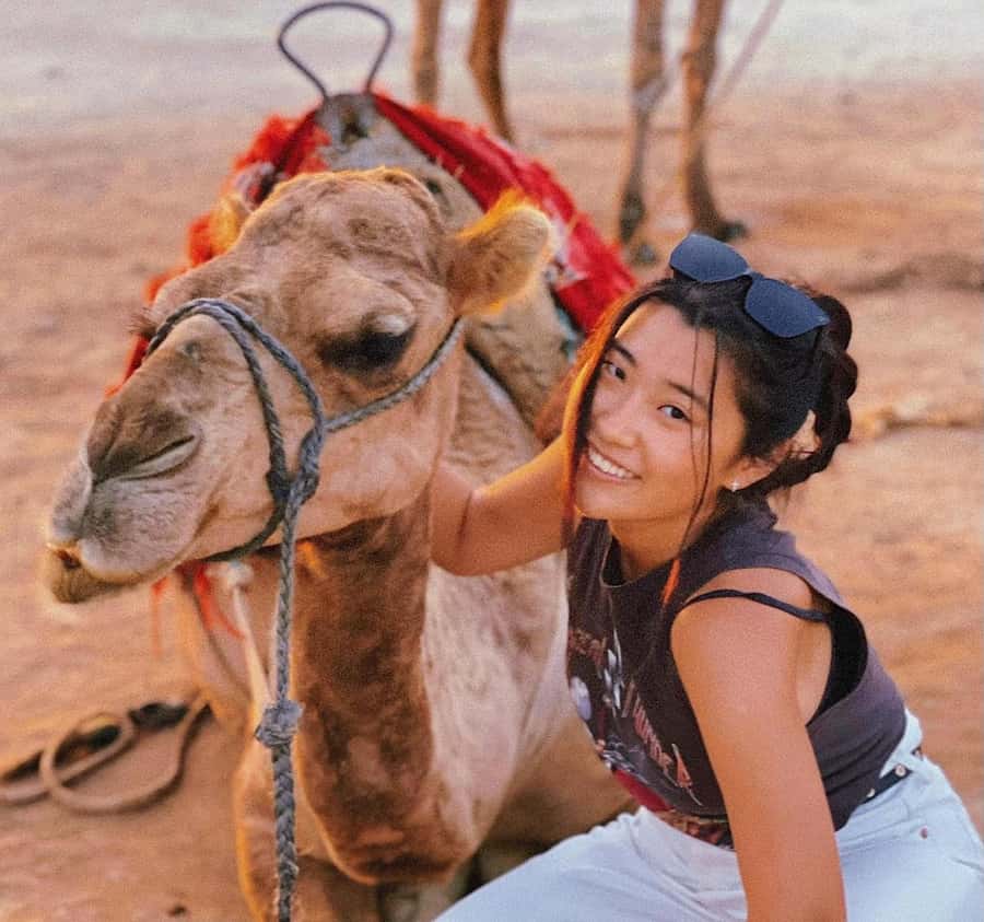 Tangier: Achakar Beach Sunset Camel Ride & Moroccan Dinner - Pickup in the Ancien Medina and the Drive Through Tangier’s Big Sights