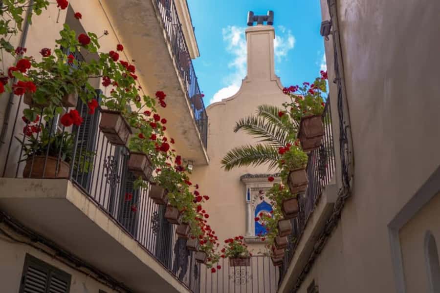Tangier Half-Day Guided City Tour - Cape Spartel and the Lighthouse Area: Coast Views You’ll Remember