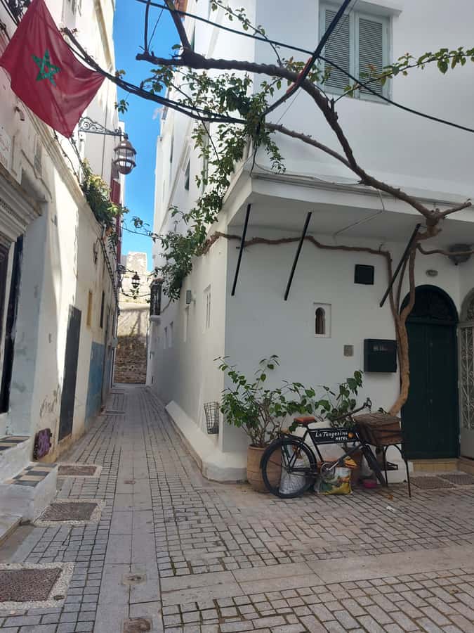 Tangier Highlights Private 6-Hour Tour - How the Private Car and Multilingual Guides Change the Day