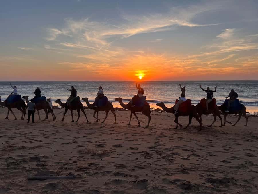 Tangier: Sunset, Tea, Sweets, Camel Ride, and Hercules Caves - When Not to Book (or When to Ask Questions First)