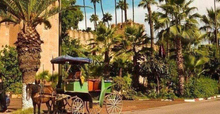 Taroudant and Tiout Oasis Trip With Lunch - Key Stops and What Makes Them Worth Your Time