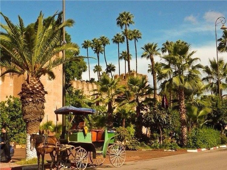 Taroudant and Tiout Oasis Trip With Lunch - Why Taroudant Feels Like Little Marrakech