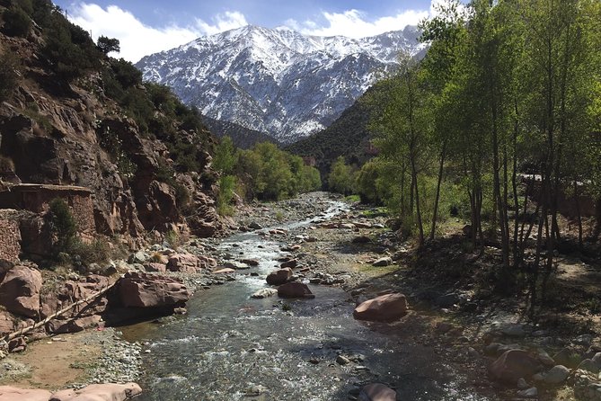 The Atlas Mountains and 5 Valleys Day Trip from Marrakech with Berber Lunch - Why This Atlas Mountains and 5 Valleys Trip Feels Like More Than a Ride