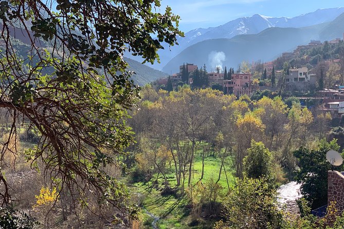 The Atlas Mountains and 5 Valleys Day Trip from Marrakech with Berber Lunch - Asni and Tahanaout: When the Weekly Souk Fits In