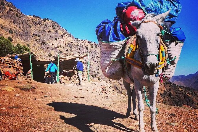 Toubkal Ascension 2 Days - Who should book this trek, and who should not