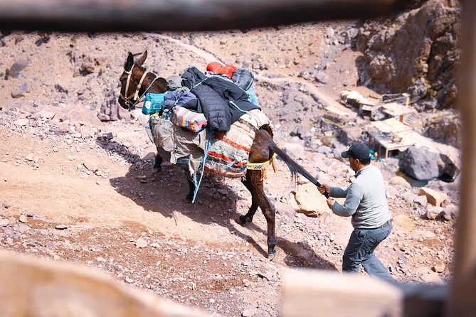 Toubkal Trekking 2 Days - Day 2 Details: Summit Push to 4167 m and the Long Descent