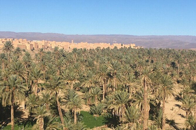 Tour from Ouarzazate to Vallee Du Draa and Dunes Of Tinfou - Zagora Lunch Break at Riad Zagora Palms and the Palm Grove Walk