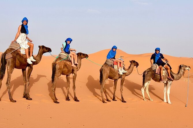 Tour from Ouarzazate to Vallee Du Draa and Dunes Of Tinfou - Price and Value: What $186.10 Actually Buys You